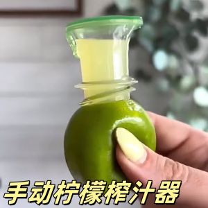 Portable Manual Lemon Juicer Mini Filter Kitchen Tool Small Size Plastic Body Circular Opening for Everyone