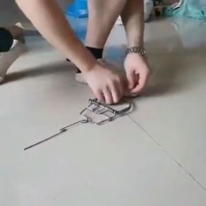 5pcs Big Size Metal Spring Rat Clip Reusable Mousetrap High Sensitive Mice Clip