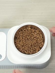 Stainless Steel Tilted Pet Bowl Neck Protection Cat Dog Food Bowl Makanan Kucing Feeding Bowls Non-Slip Anti Ant