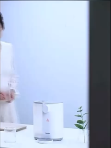 🇸🇬|Water Dispenser 2L Instant Warm And Hot Water Dispenser|1 YEAR WARRANTY|SG 3 PIN PLUG