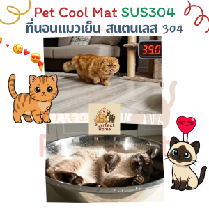 ที่นอนแมวเย็น สแตนเลสเกรด 304 (SUS304) 🐱❄️จำนวน 1 ถาด