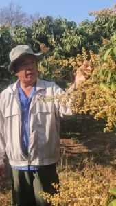 Proจัดเต็ม ดินเน่า3ขวด(แถมปราบมาร1ฮิวมิค2ขวด) ชุดนี้ครบเรื่องดินและใบ ของแท้ส่งไวส่งฟรี สินค้าขายดี