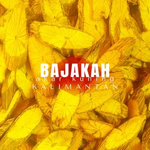 kayu bajakah akar kuning kalimantan 1kg - bonus 10 pcs teh celup bajakah merah