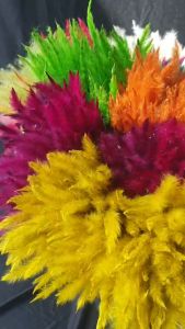 Rarinดอกหญ้าคา(หลากสี) ( กำละ 40 ) ความยาว 45 cm. เป็นดอกไม้ธรรมชาติ ย้อมสี สีสันสดใส ใช้ประดับห้อง ร้าน