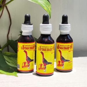 Super Energy ayam agresif dan bertenaga