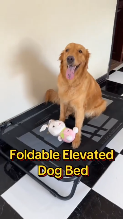 Foldable Large Elevated Pet Dog Bed, Breathable Comfortable Cool