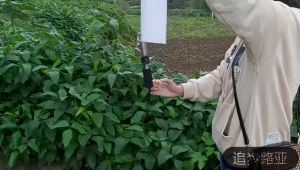 อุปกรณ์ตกปลา คีมสำหรับตกปลา กิ๊บตกปลา คีมปลดเบ็ดปลา ที่คีบปลา คิบเปอร์จับปลา กิปเปอร์ คริปเปอร์ คีบเปอร์จับปลา