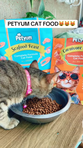 1kg Pet Yum Petyum Carnivore Seafood Feast Cat Cats Dry Food All Stages Adult Kitten Pet Meal
