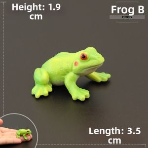 MENGSILE | Realistic Children Educational Animal Model Frogs