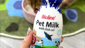 12pcs Bioline Pet Goat Milk 220ml for Dogs and Cats Lactose Free Milk Supplement with Fish Oil Nutrition Puppy Kitten Health Care