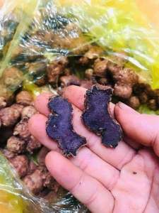 Gừng đen(Ngãi Đen) loại già lâu năm 1kg khô ráo