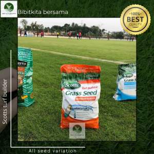 Scotts turf builder 50 gram - benih rumput gajah mini - benih rumput swiss 50 gram