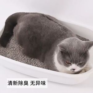 2 KG-PASIR KUCING GUMPAL WANGI -REPACK-TOTO-PASIR WANGI KUCING