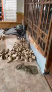 Ulekan Bumbu dari brungki / ulekan akar bambu / ulekan bambu ALAMI 100%