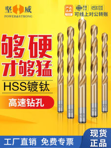 High-Speed Steel Titanium-Plated Twist Drill Head Fully-Ground Twist Drill Stainless Steel Special Electric Hand Drill Carpentry Drill 1-12mm