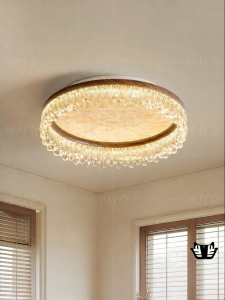 FANCY LAMP CLUB | Mid-Century Modern Waterdrop Ceiling Light