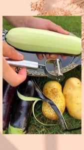 Pengupas Buah & Sayur 2 in 1: Serutan Sayur 2 Sisi & Peeler Sayur Buah 2in1