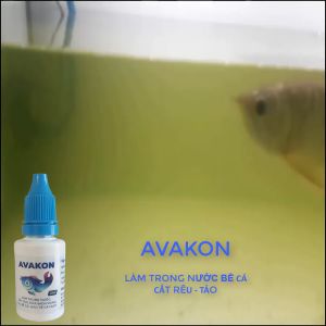 AVAKON nguyên liệu nhập của Nhật lọ 20ml làm trong nước cắt rêu tảo 365 ngày không cần phải thay nước nước trong cá khoẻ