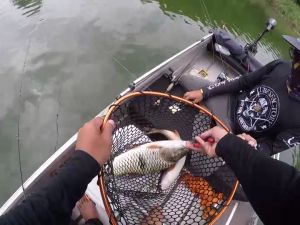 เหยื่อปลอม กระดี่ กระดี่เหล็ก 8 กรัม 5 ซ.ม. งานกระสูบ ตัวเบ็ด ST-41 แข็งแรง กระดี่ จำนวน 1 ตัว เหยื่อ เหยื่อตกปลา อุปกรณ์ตกปลา JOJO Thailand