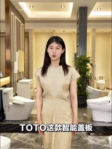 TOTO | Heated Water Washing Smart Toilet Seat Cover