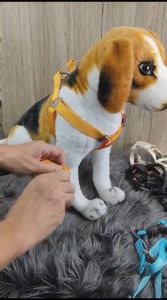 Pet Harness Dog And Cat Tali Dada Anjing dan Kucing Untuk Jalan Jalan Uk. L