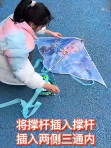 1M /1.2 Mét Diều Hoạt Hình Cong Cho Trẻ Em Đồ Chơi Diều Kuromi Melody Frozen Ultraman Stellalou Diều Đồ Chơi Ngoài Trời Diều Hình Tam Giác Đồ Chơi