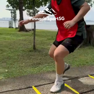 (SG) Ladder + Cones + Training Bibs Agility Pack