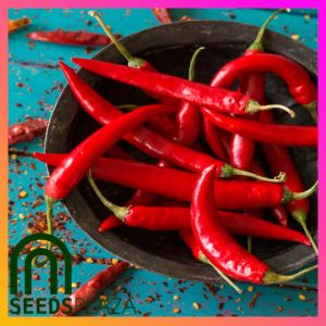 SeedsPLAZA™ - Thai Red Chili Seeds (20 Seed) for Planting Vegetable Plants + Planting Instruction for Thai Pepper
