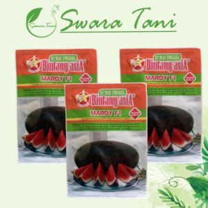 Benih Semangka Lonjong Inul Mardi MARDY F1 20 gr Original