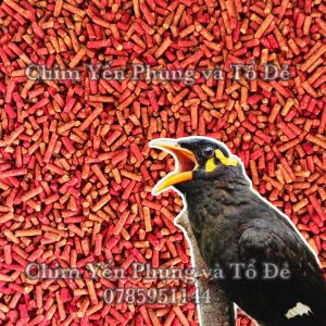 1kg cám ớt nguyên chất cho Nhồng Cưỡng Sáo tập nói - thức ăn chim.