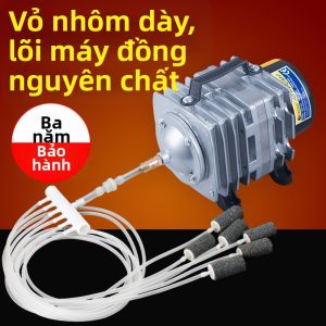 DABINGYANG | Máy Sủi Oxy Công Suất Lớn Chuyên Dụng Cho Hồ Hải Sản