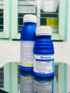 Insektisida syngenta ampuh mengendalikan ulat perusak umbi dan daun CURACRON 500EC