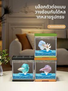 HUICHONG | Eco-friendly Multi-Grid Aquarium for Desktop and Home Use