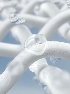 GIORDANO เทคโนโลยีขั้นสูง ศูนย์เทคโนโลยี ซื้อ 1 รายได้ 01023380