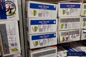 Mũi phay gỗ vát 45 độ có bi Tideway cao cấp 0203 MSVCB-45-TW