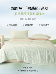 Mint Cool Sensation Summer Air Conditioner Quilt Ice Silk Thin Core Machine Washable Fiber Duvet Light Weight Breathable