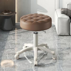 Rotating & Elevating Salon Chair