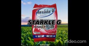 Starkle G 2KG eliminates aphids leafhoppers whiteflies scales thrips longhorn beetles stink bugs mites and spiders