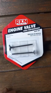 PAYUNG KLEP SATRIA FU VALVE SET IN EX ORIGINAL RKN SFU