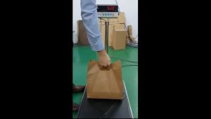 Beg Kertas / Paper D Bag/ Paper D-Cut Bag Kraft Brown / Brown Kraft Paper Bag / Handle Paper Bag / Gift Bag / beg kertas (25 PCS+-)