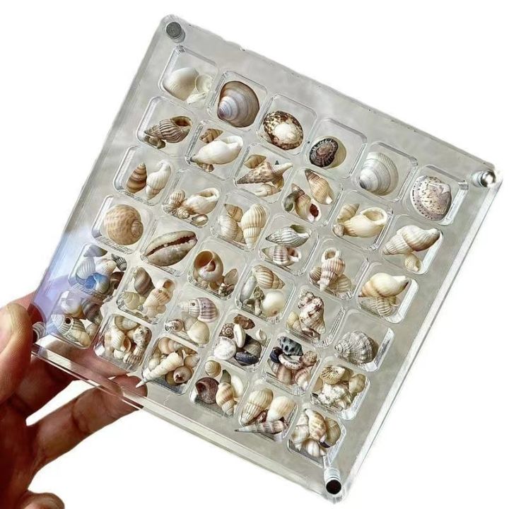 Shell storage box acrylic square transparent seaside miniature stone