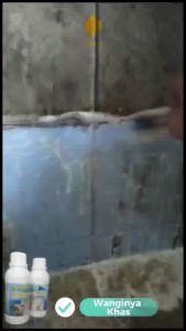 Pembersih Kerak Kamar Mandi Toilet Wc Dan Kloset Ampuh Atasi Kerak Lumut Jamur Etanox Ayn Shopp