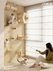 BEIQIVI | Space-Saving Multifunctional Cat Tree