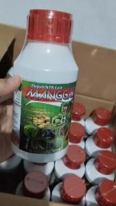 Pupuk Npk Cair Manggala Pupuk Pelebat Buah Jeruk Bali Pupuk Buah Jeruk Bali Booster Buah Jeruk Bali