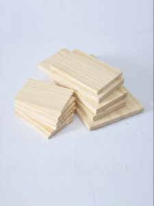 Pine Board DIY Craft Educational Model