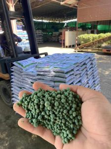 พีโคเดอร์มา ไตรโคเดอร์มาอัดเม็ด ตราฟ้าแจ่ม (ถุงละ 5 กิโลกรัม จำนวน 2 ถุง) ใช้ป้องกัน รักษาเชื้อราโรคพืชทางดิน