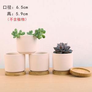 ThUMBprint Pot 10pcs Breathable Ceramic Succulent Plant Pots Unfired Hand-painted Coarse Clay Green Plant Succulent Bonsai Pots