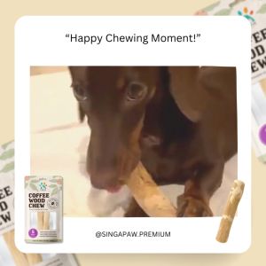 Singapaw Natural Coffee Wood Chew | Dog Chew | Dental Chew