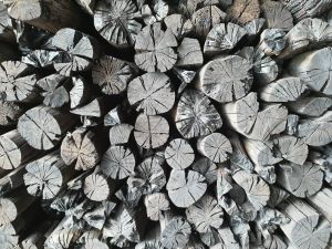 ARANG / CHARCOAL / 火炭块 ( +/-10CM – 14CM)- 1kg