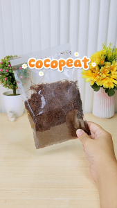 Cocopeat Bedding Hamster/Reptil Alami Steril